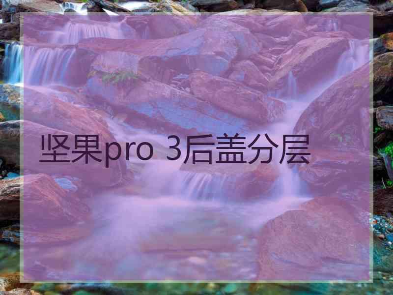 坚果pro 3后盖分层