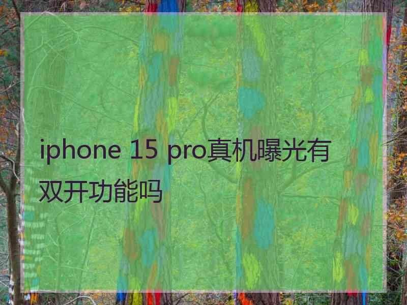 iphone 15 pro真机曝光有双开功能吗