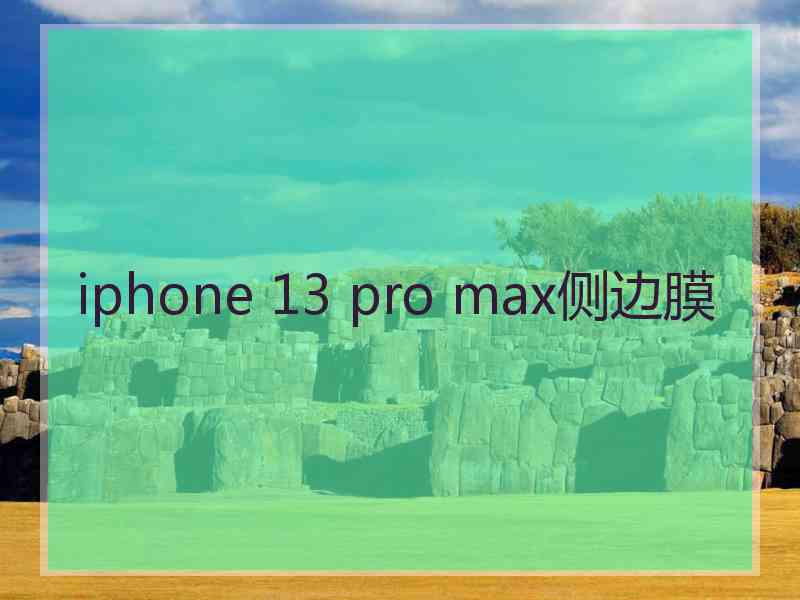 iphone 13 pro max侧边膜