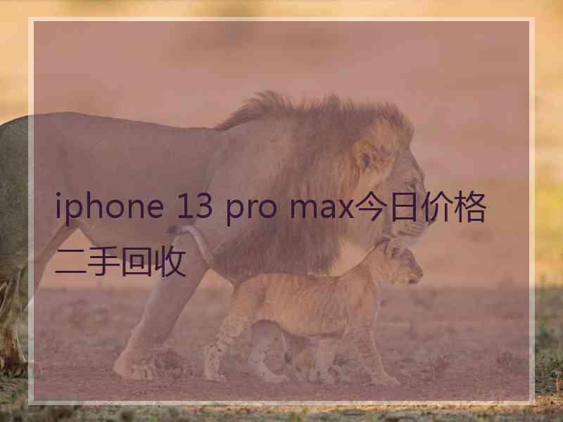 iphone 13 pro max今日价格二手回收