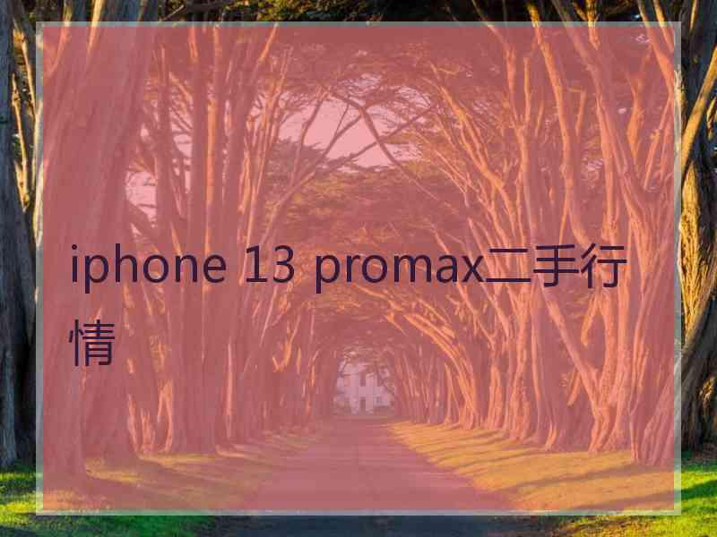 iphone 13 promax二手行情