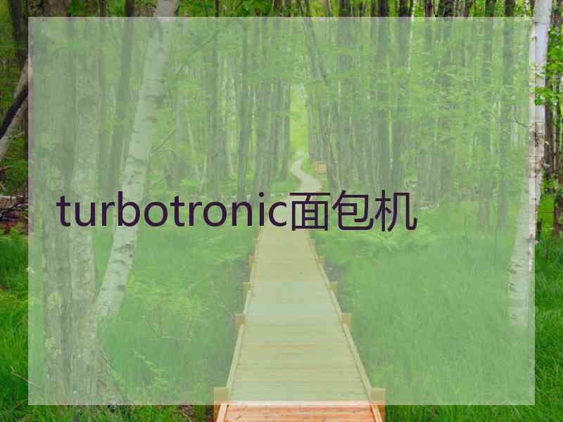 turbotronic面包机