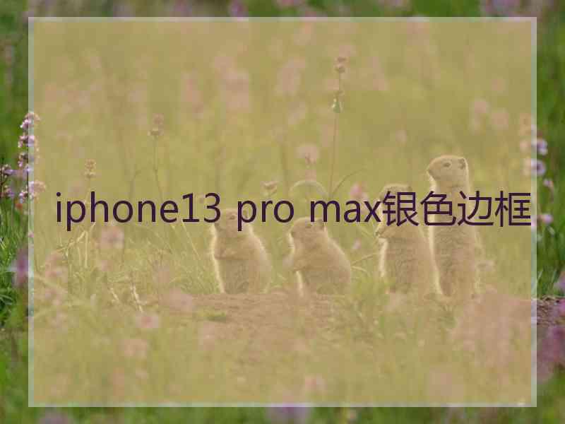 iphone13 pro max银色边框