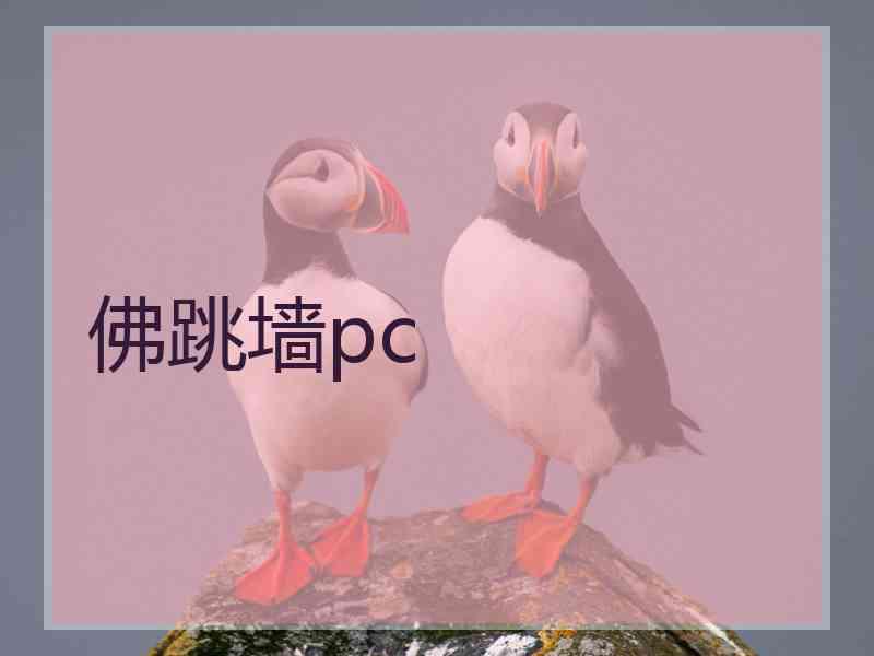 佛跳墙pc