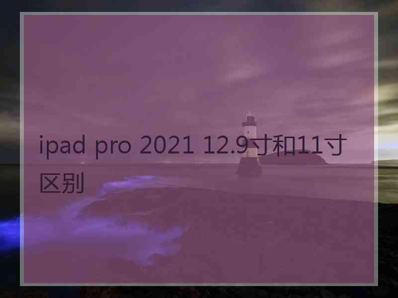 ipad pro 2021 12.9寸和11寸区别