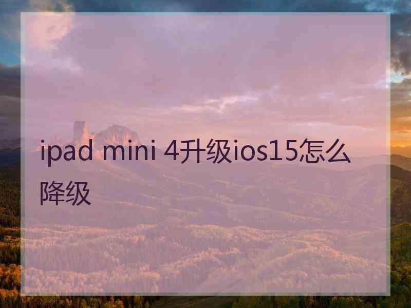 ipad mini 4升级ios15怎么降级