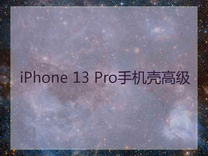 iPhone 13 Pro手机壳高级