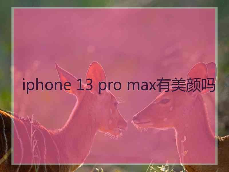 iphone 13 pro max有美颜吗