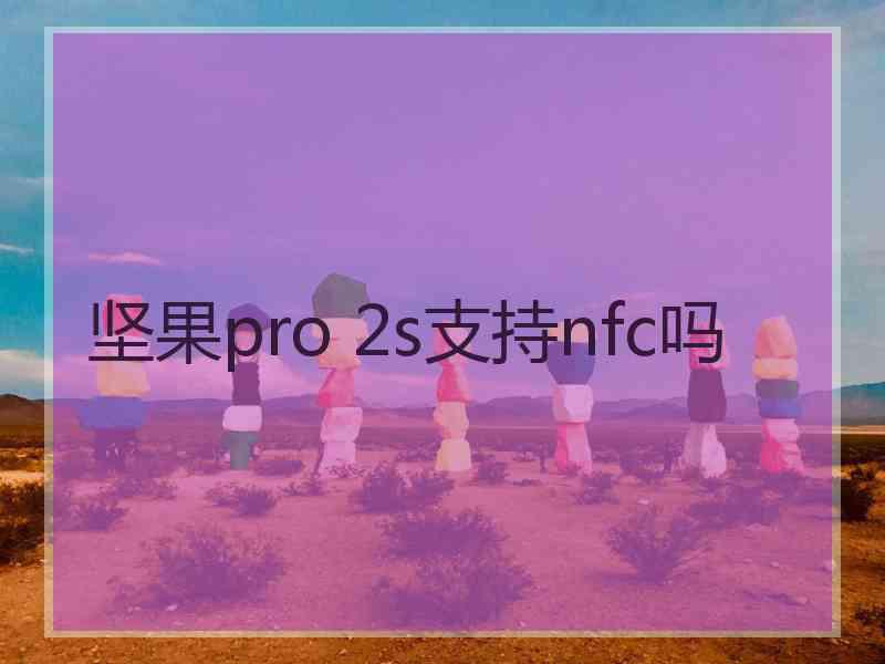 坚果pro 2s支持nfc吗