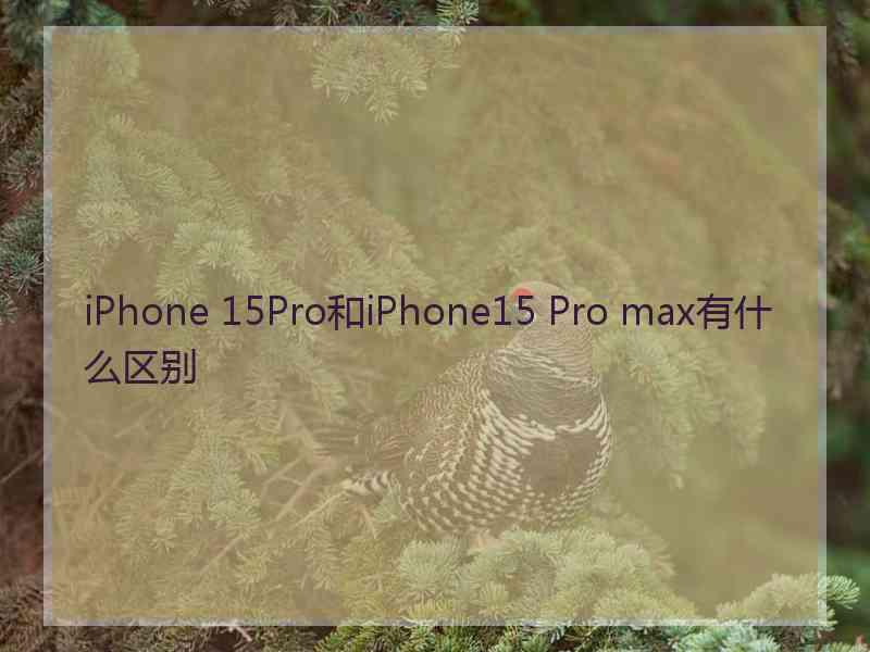 iPhone 15Pro和iPhone15 Pro max有什么区别