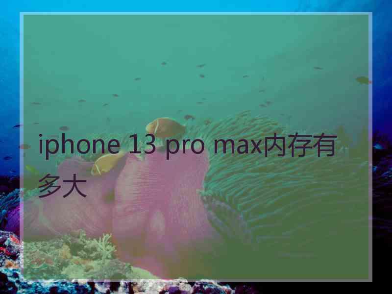 iphone 13 pro max内存有多大