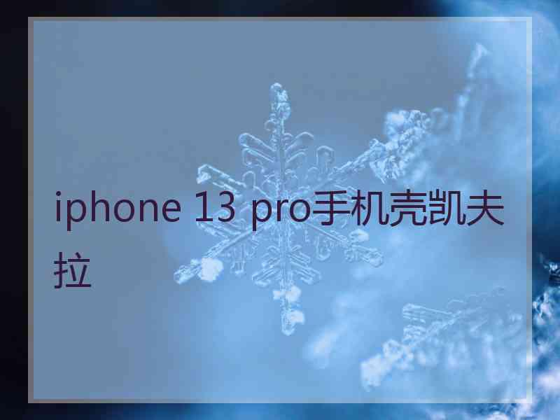 iphone 13 pro手机壳凯夫拉