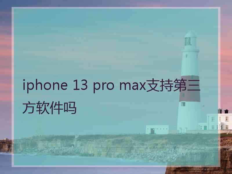 iphone 13 pro max支持第三方软件吗