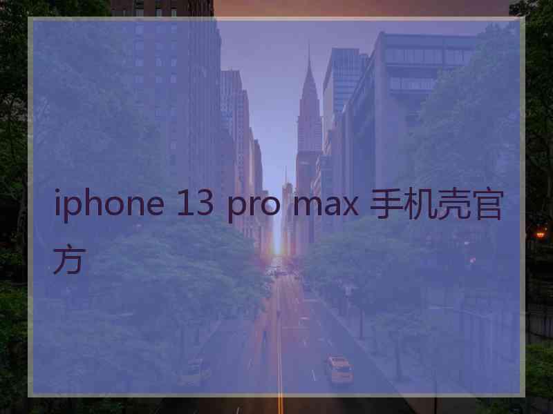 iphone 13 pro max 手机壳官方