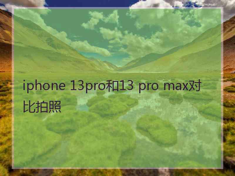 iphone 13pro和13 pro max对比拍照