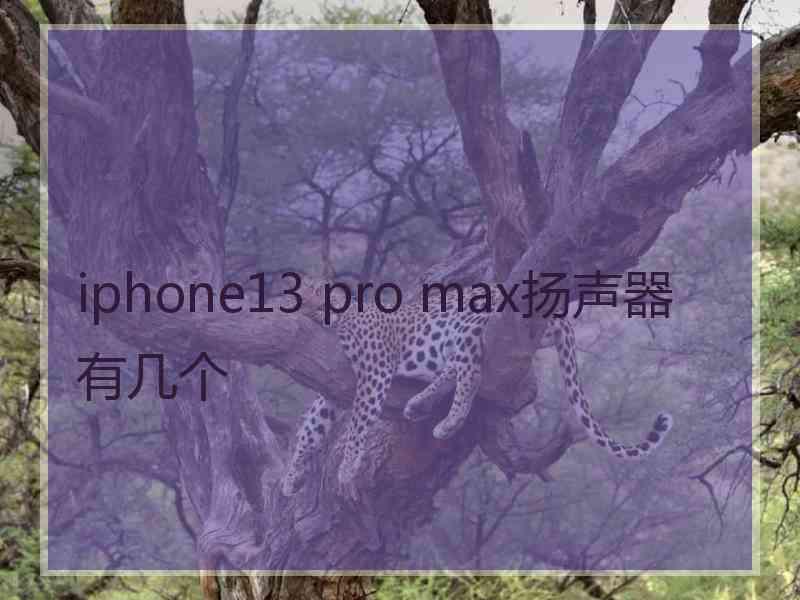 iphone13 pro max扬声器有几个