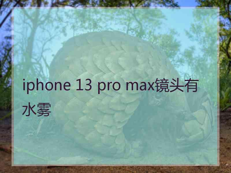 iphone 13 pro max镜头有水雾