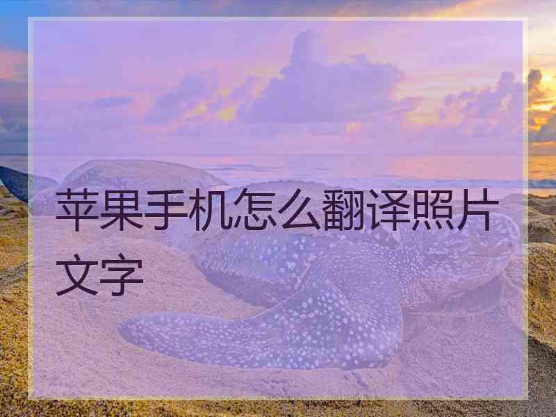 苹果手机怎么翻译照片文字