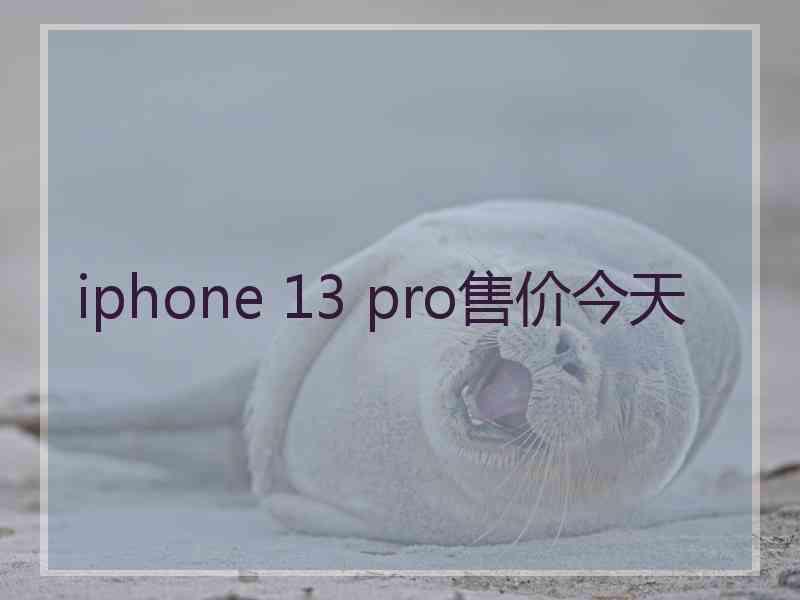 iphone 13 pro售价今天