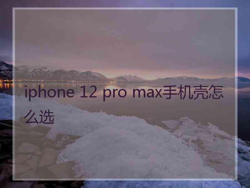 iphone 12 pro max手机壳怎么选