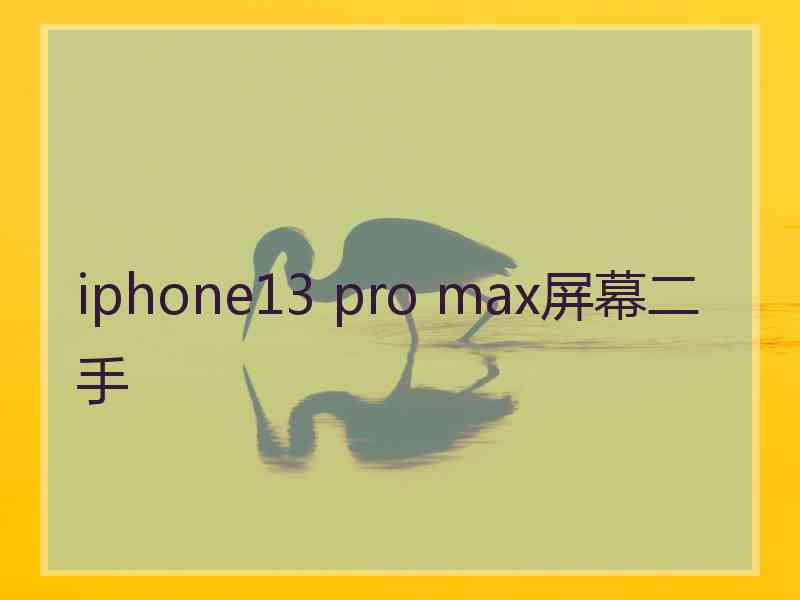 iphone13 pro max屏幕二手