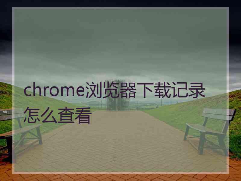 chrome浏览器下载记录怎么查看