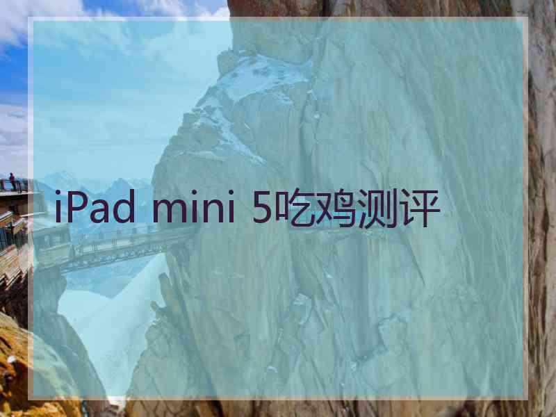 iPad mini 5吃鸡测评