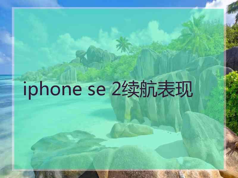 iphone se 2续航表现