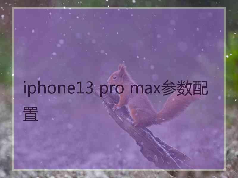 iphone13 pro max参数配置