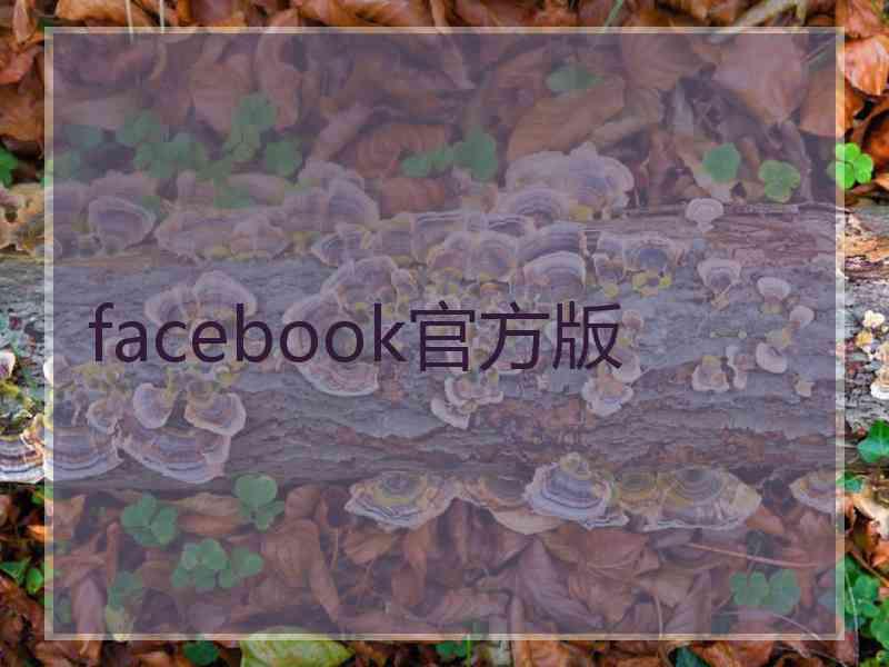 facebook官方版