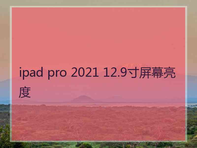 ipad pro 2021 12.9寸屏幕亮度