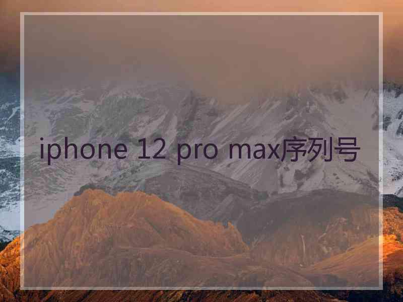 iphone 12 pro max序列号