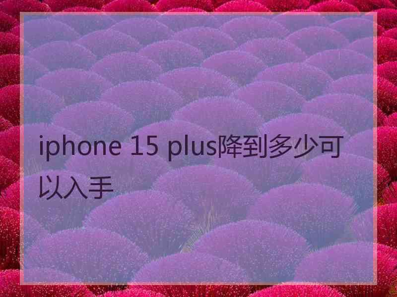 iphone 15 plus降到多少可以入手