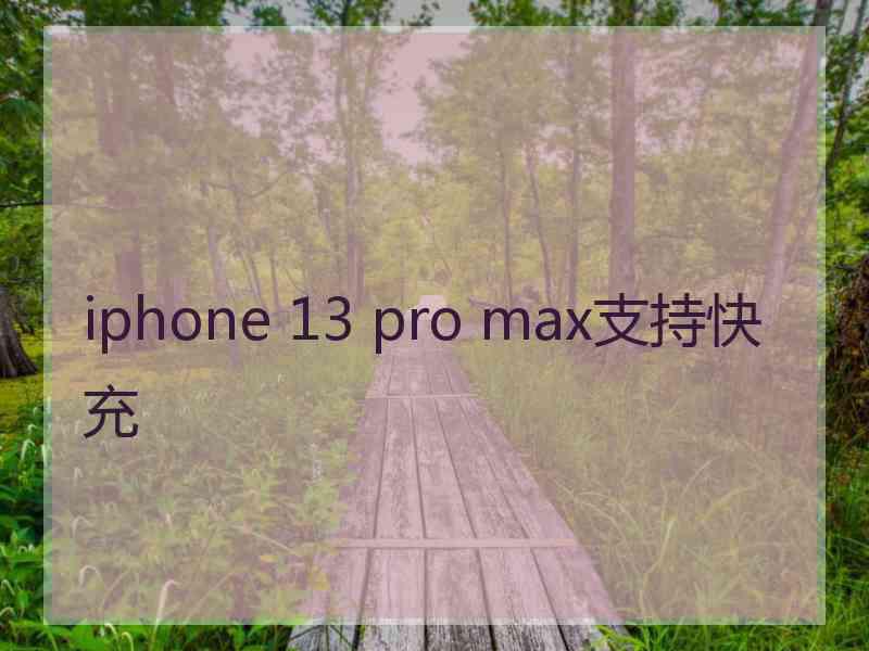 iphone 13 pro max支持快充