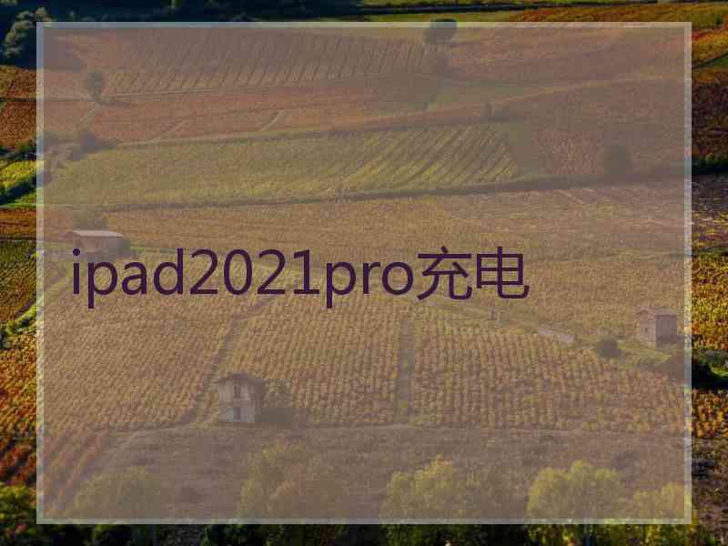 ipad2021pro充电