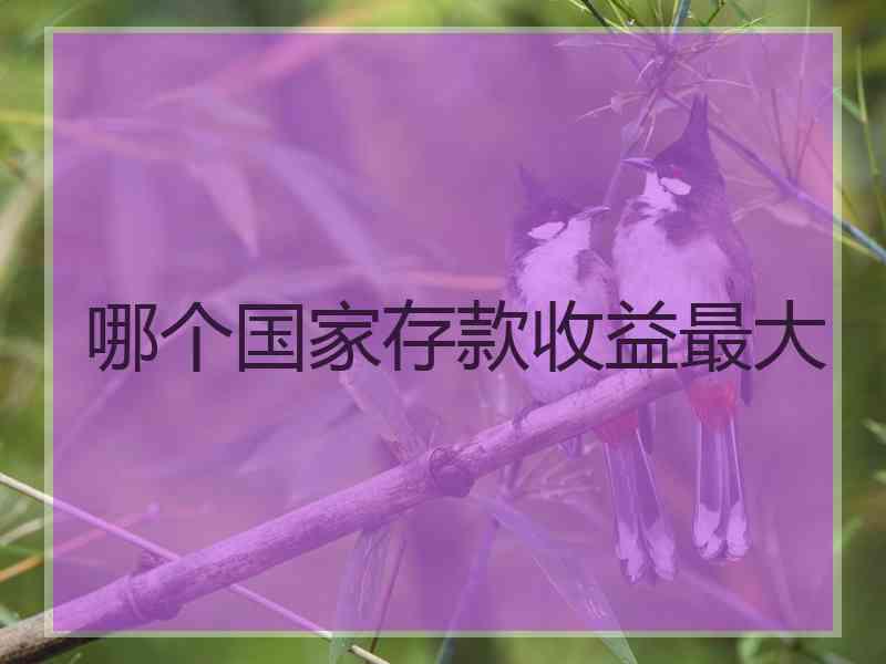 哪个国家存款收益最大