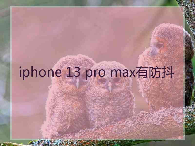 iphone 13 pro max有防抖