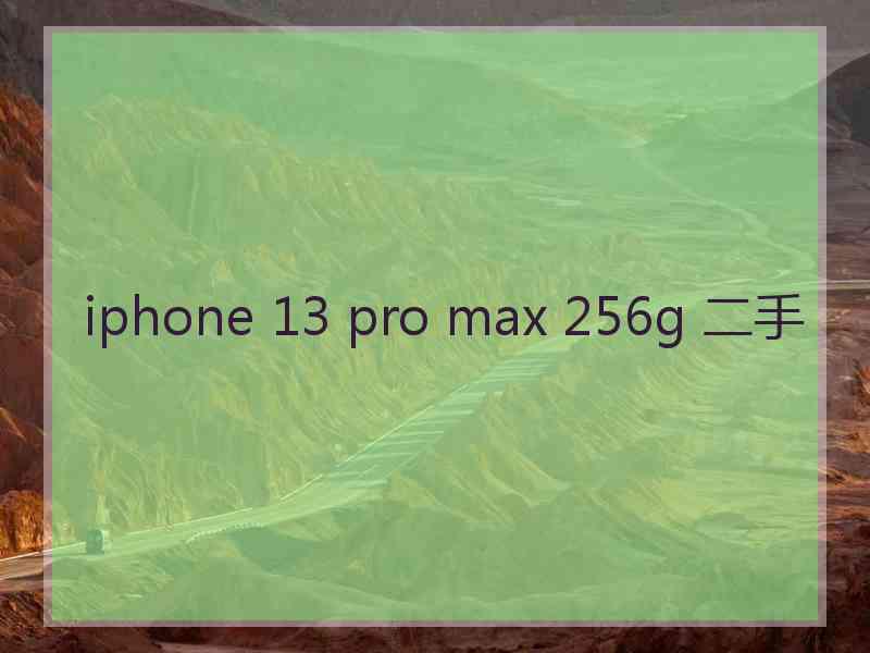 iphone 13 pro max 256g 二手