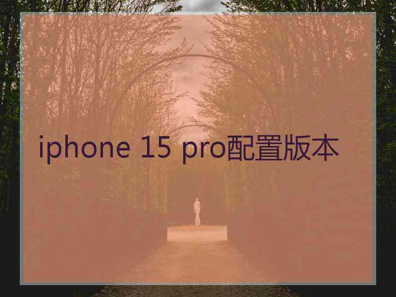 iphone 15 pro配置版本