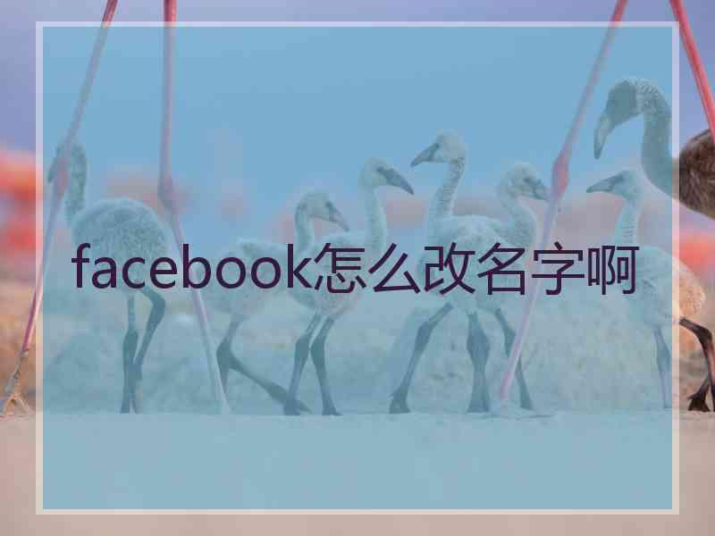 facebook怎么改名字啊