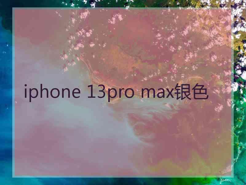 iphone 13pro max银色