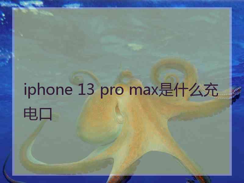 iphone 13 pro max是什么充电口