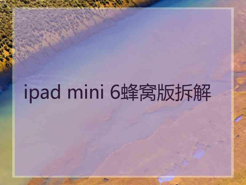 ipad mini 6蜂窝版拆解