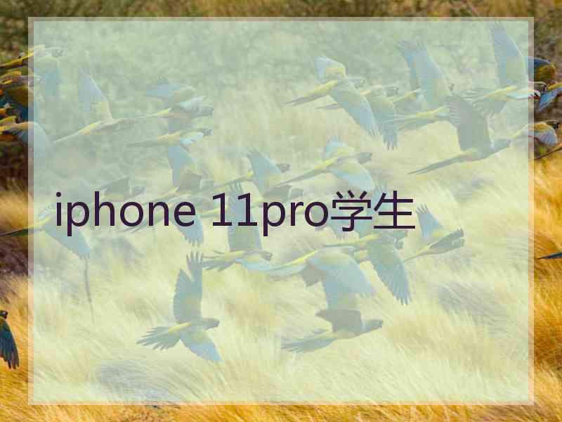 iphone 11pro学生