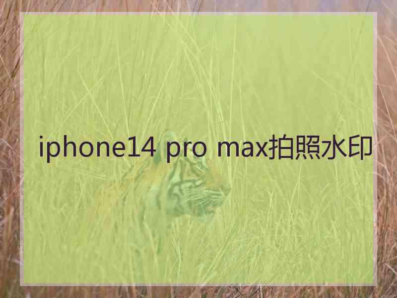 iphone14 pro max拍照水印