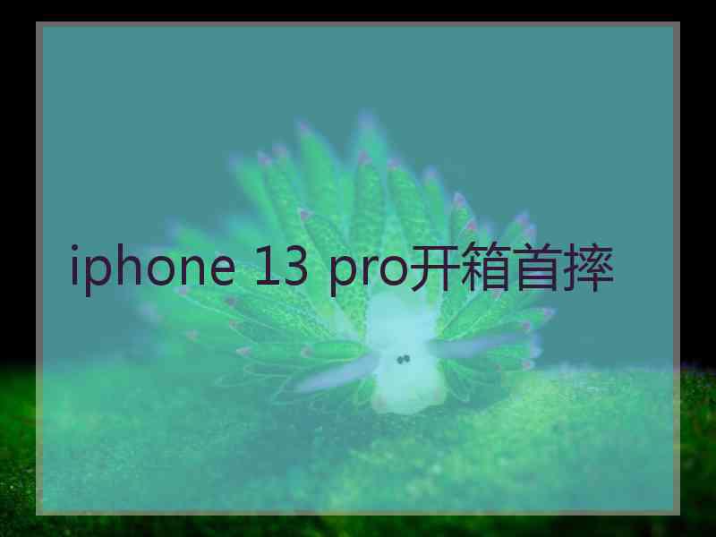 iphone 13 pro开箱首摔