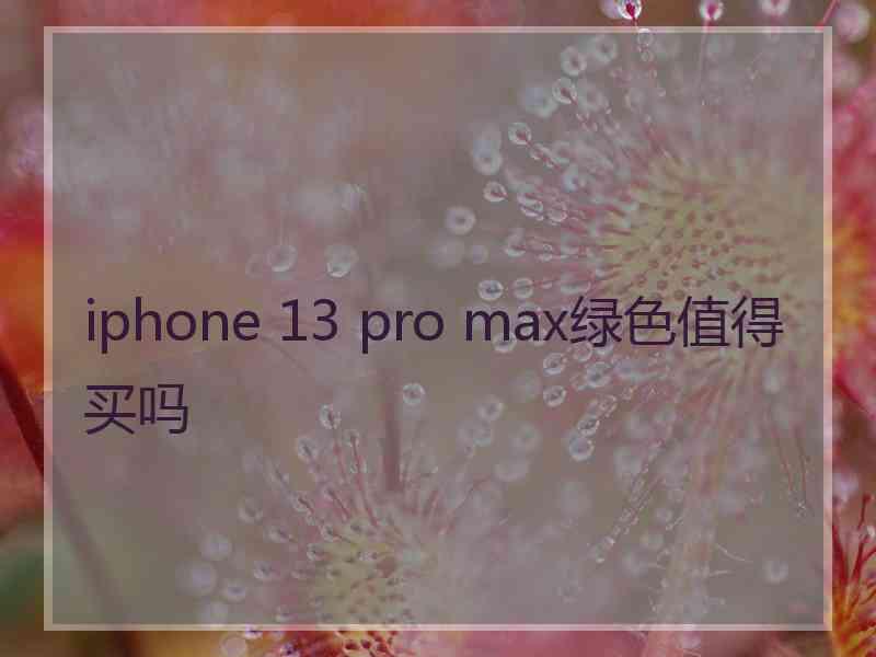 iphone 13 pro max绿色值得买吗