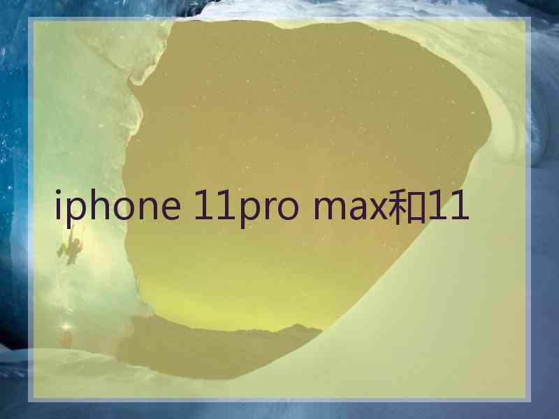 iphone 11pro max和11