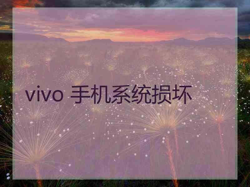 vivo 手机系统损坏