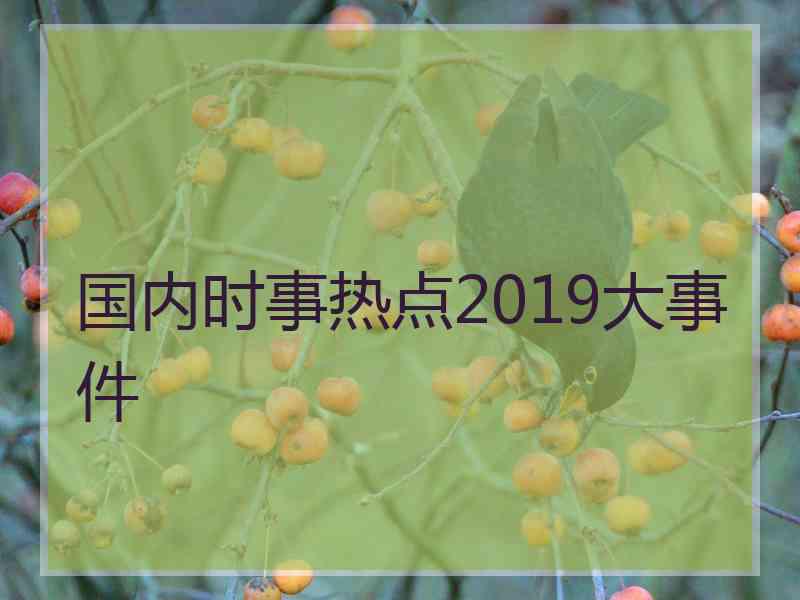 国内时事热点2019大事件